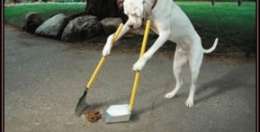 leadership-responsibility-self-development-relevance-influence-leadersoil-528x270